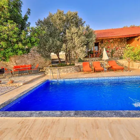 Patara Adonis 1 4*