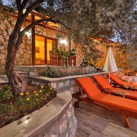 Patara Adonis 1 4*