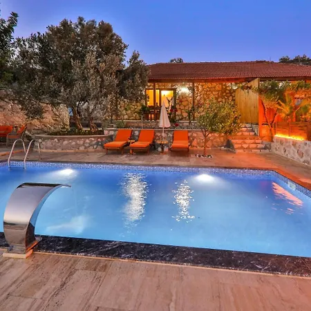 Patara Adonis 1 Kas